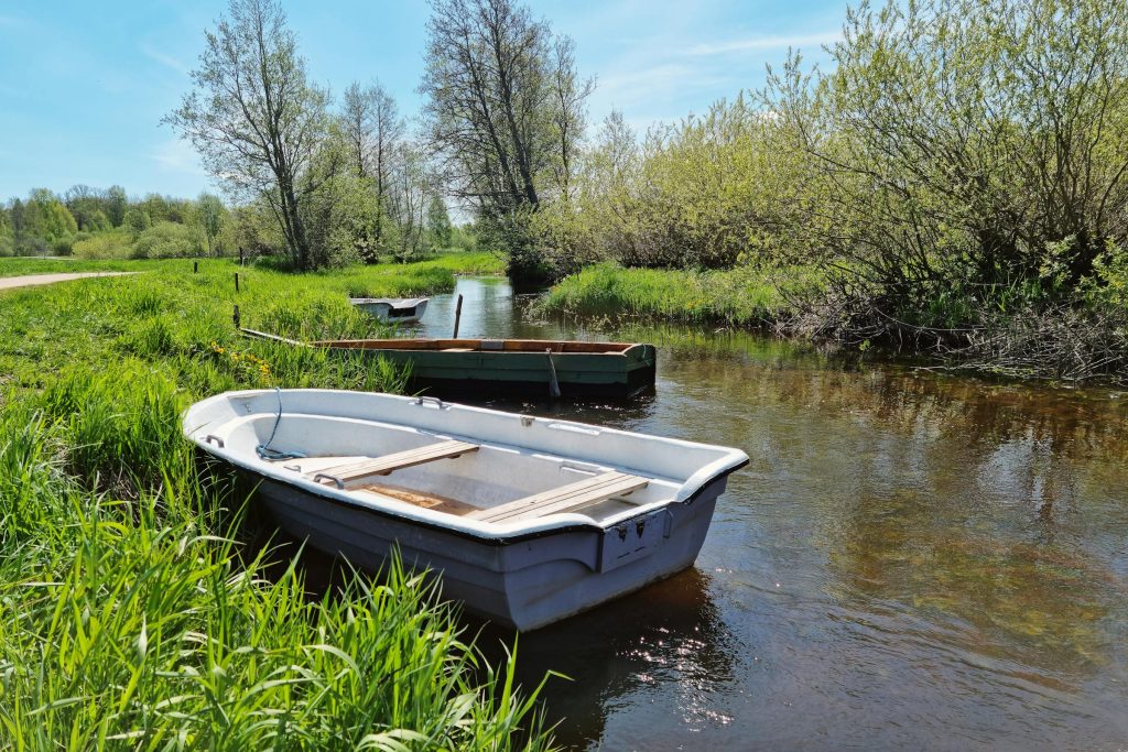 Navigating Loan Options in Estonia: A Comprehensive Guide to Luminor Bank, Swedbank, and More - Como solicitar empréstimo na Estônia