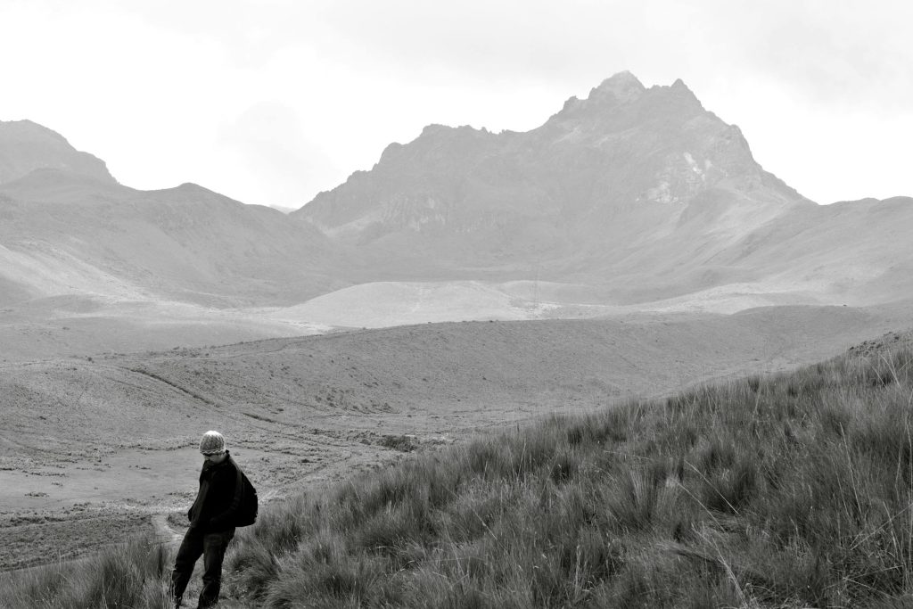 Empowering Local Businesses: How COAC Vis Andes and Banco D-MIRO Are Transforming Loan Accessibility in Ecuador - Como solicitar empréstimo no Equador