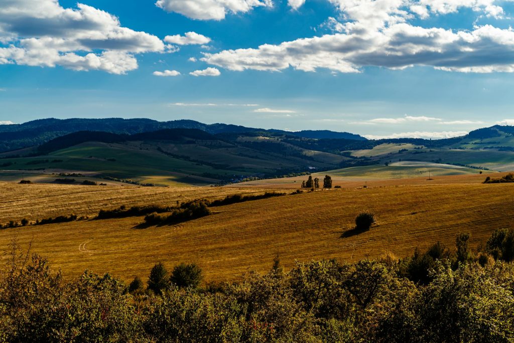 Exploring Alternative Financing: How 365.bank and mBank Are Changing the Lending Landscape in Slovakia - Como solicitar empréstimo na Eslováquia