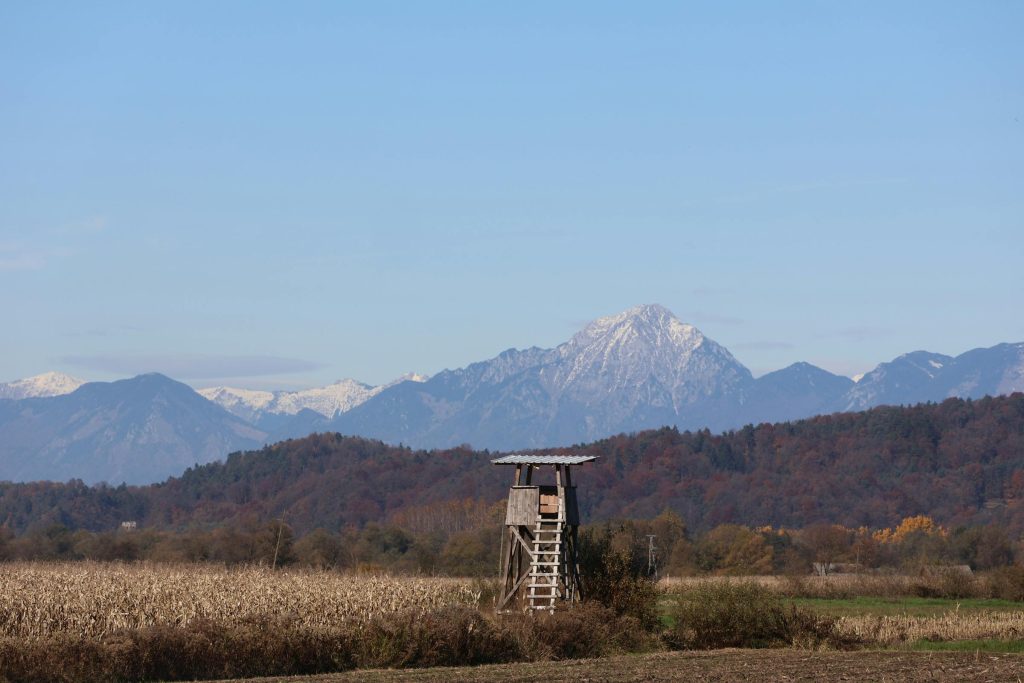 Navigating the Loan Landscape: Insights on LON d.d. and Key Financial Institutions in Slovenia - Como solicitar empréstimo na Eslovênia