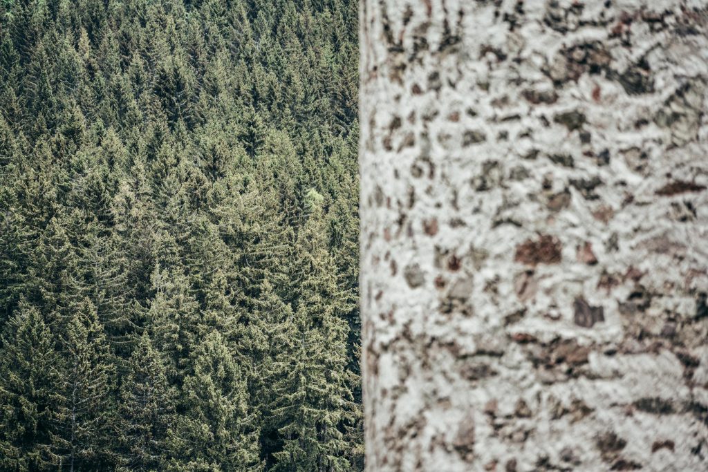 Top 10 Financial Institutions in the Czech Republic: Which One is Right for Your Loan Needs? - Como solicitar empréstimo na República Tcheca