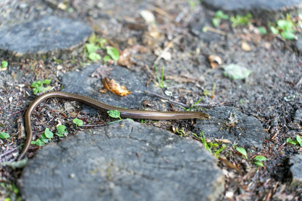 The Ultimate Guide to Loans in Croatia: Evaluating Addiko, Raiffeisenbank, and More - Melhores opções de empréstimo na Croácia