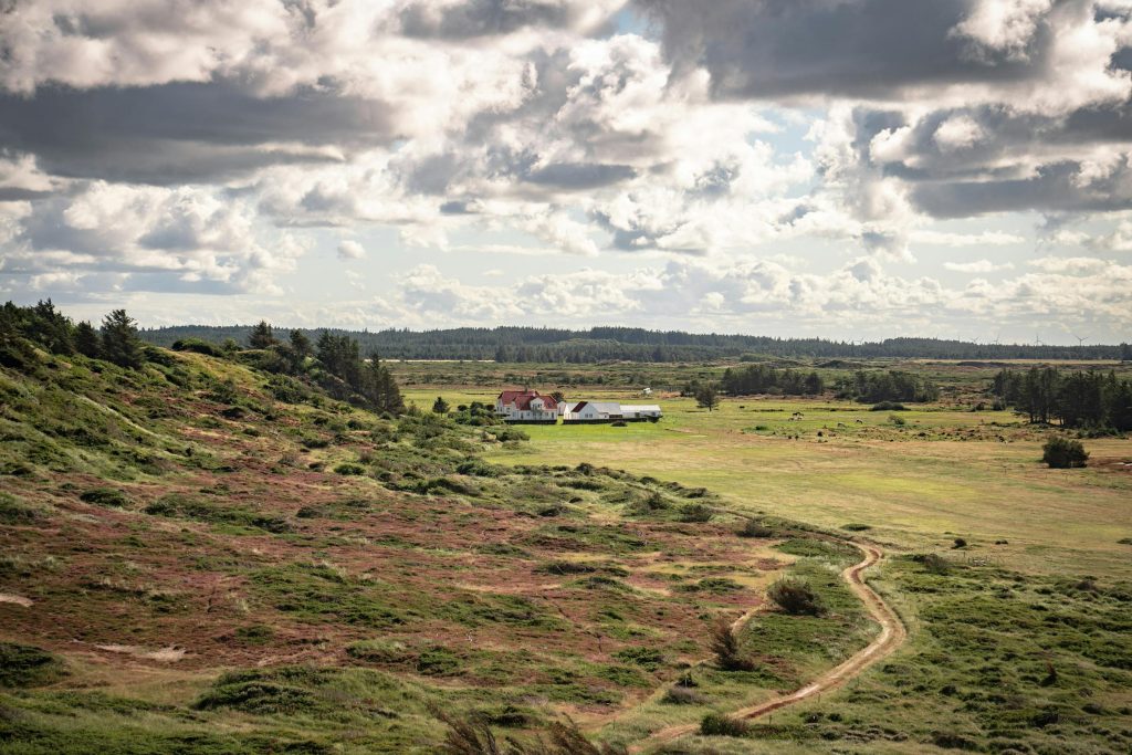 Navigating the Danish Lending Landscape: Insights on Realkredit Danmark and Other Leading Institutions - Melhores opções de empréstimo na Dinamarca