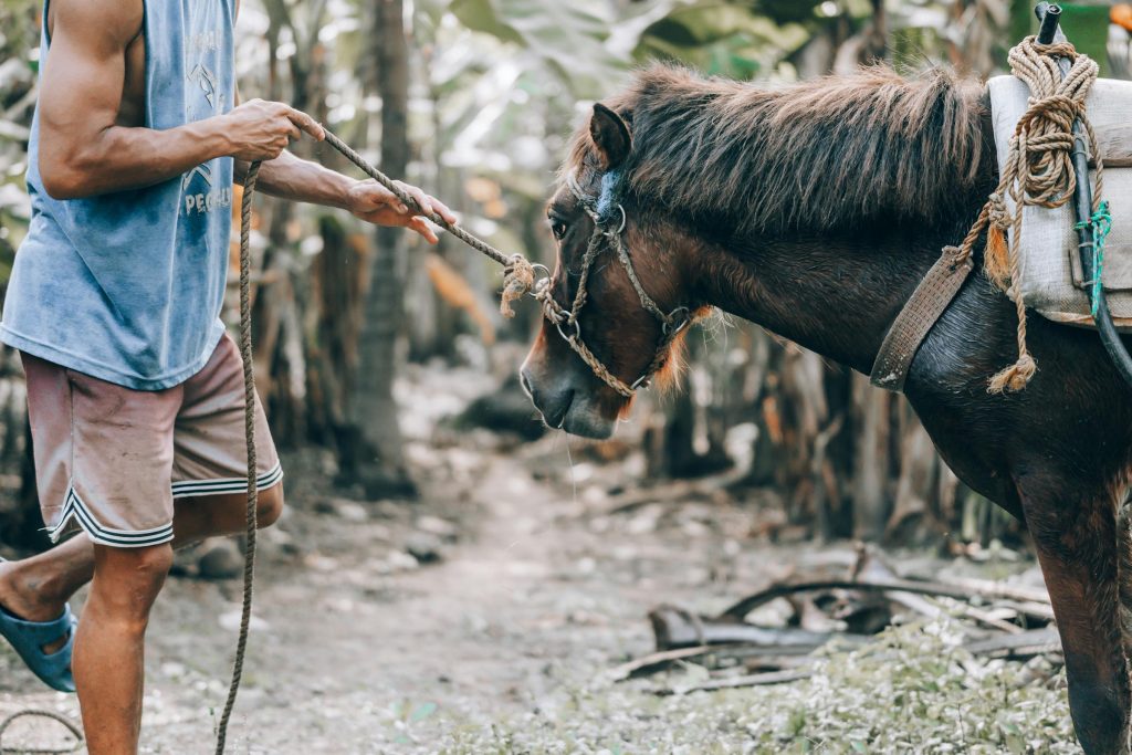 Exploring Career Opportunities at Leading Corporations in Serbia: A Guide to Telekom Srbija, NIS, and More - Melhores oportunidade de emprego na Sérvia